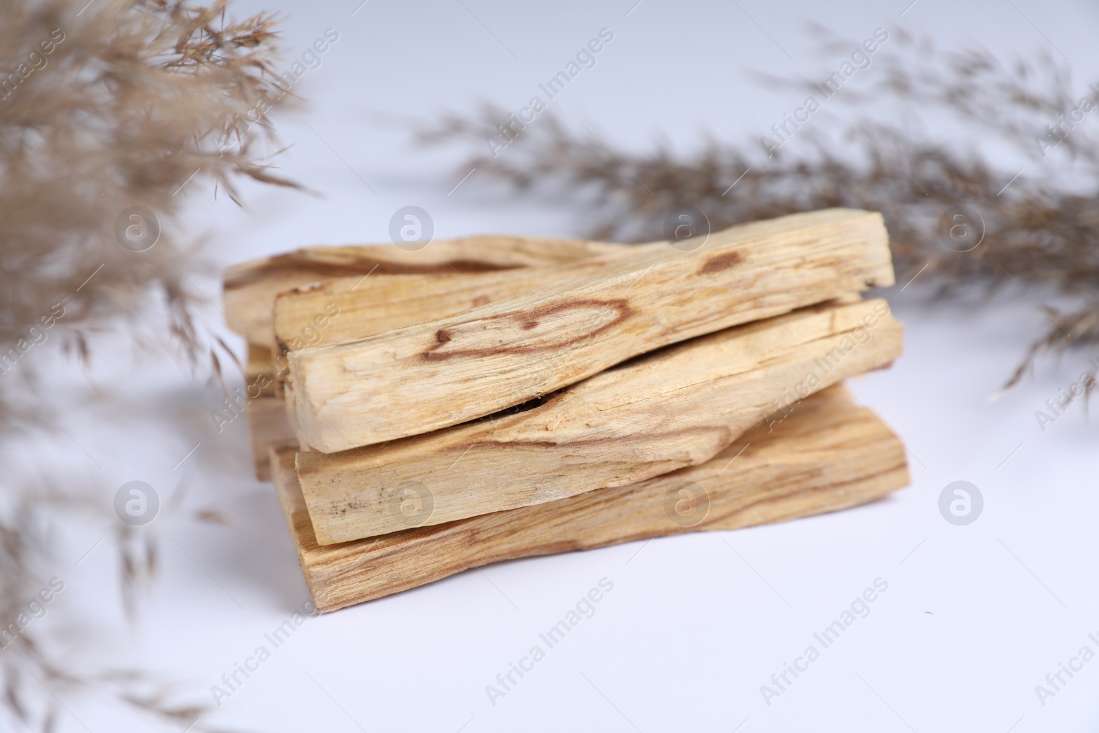 Photo of Palo santo sticks and dried reed on white background, closeup