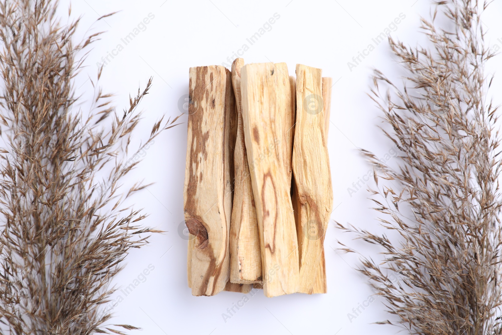 Photo of Palo santo sticks and dried reed on white background, flat lay