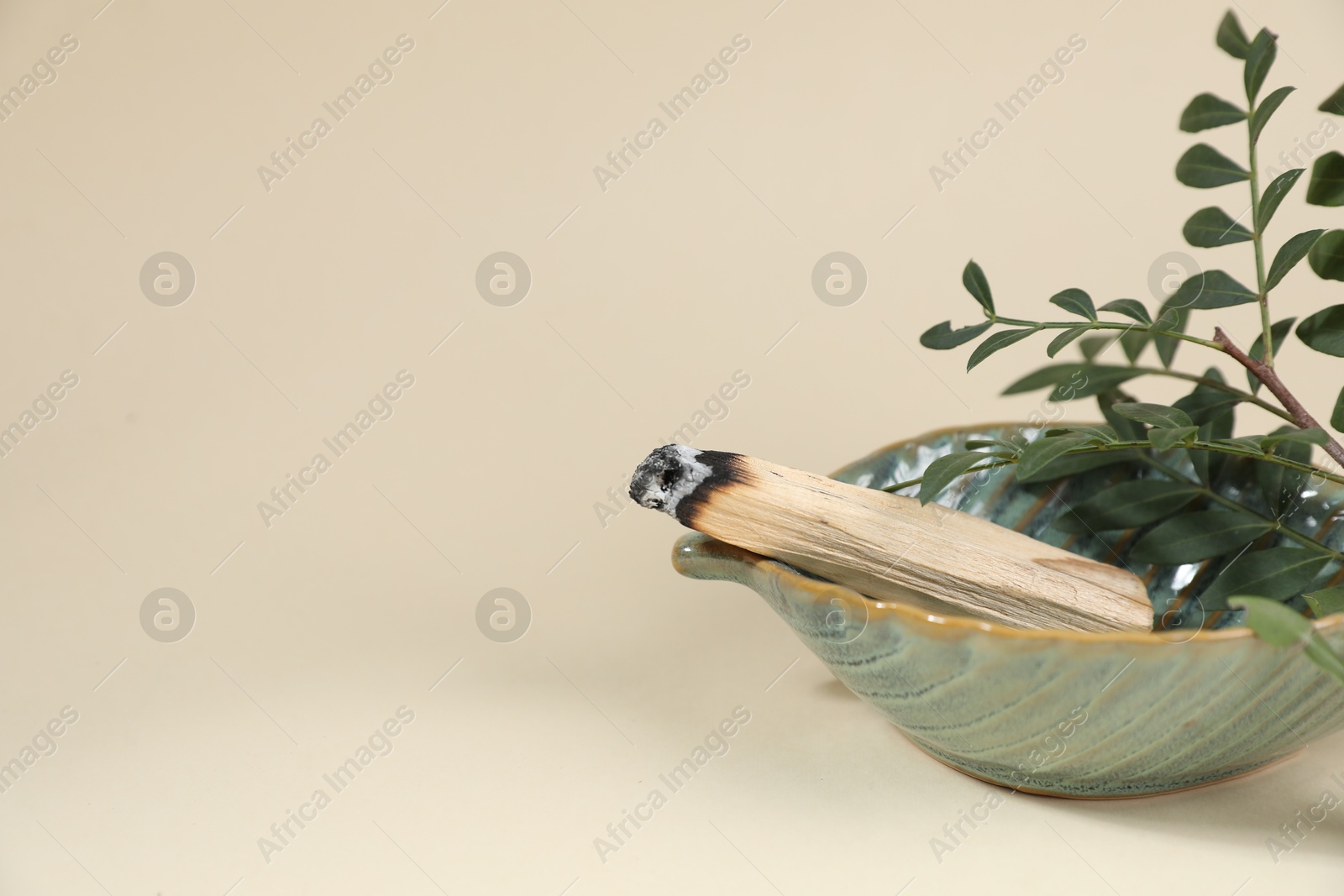 Photo of Smoldering palo santo stick and green branch on beige background, closeup. Space for text