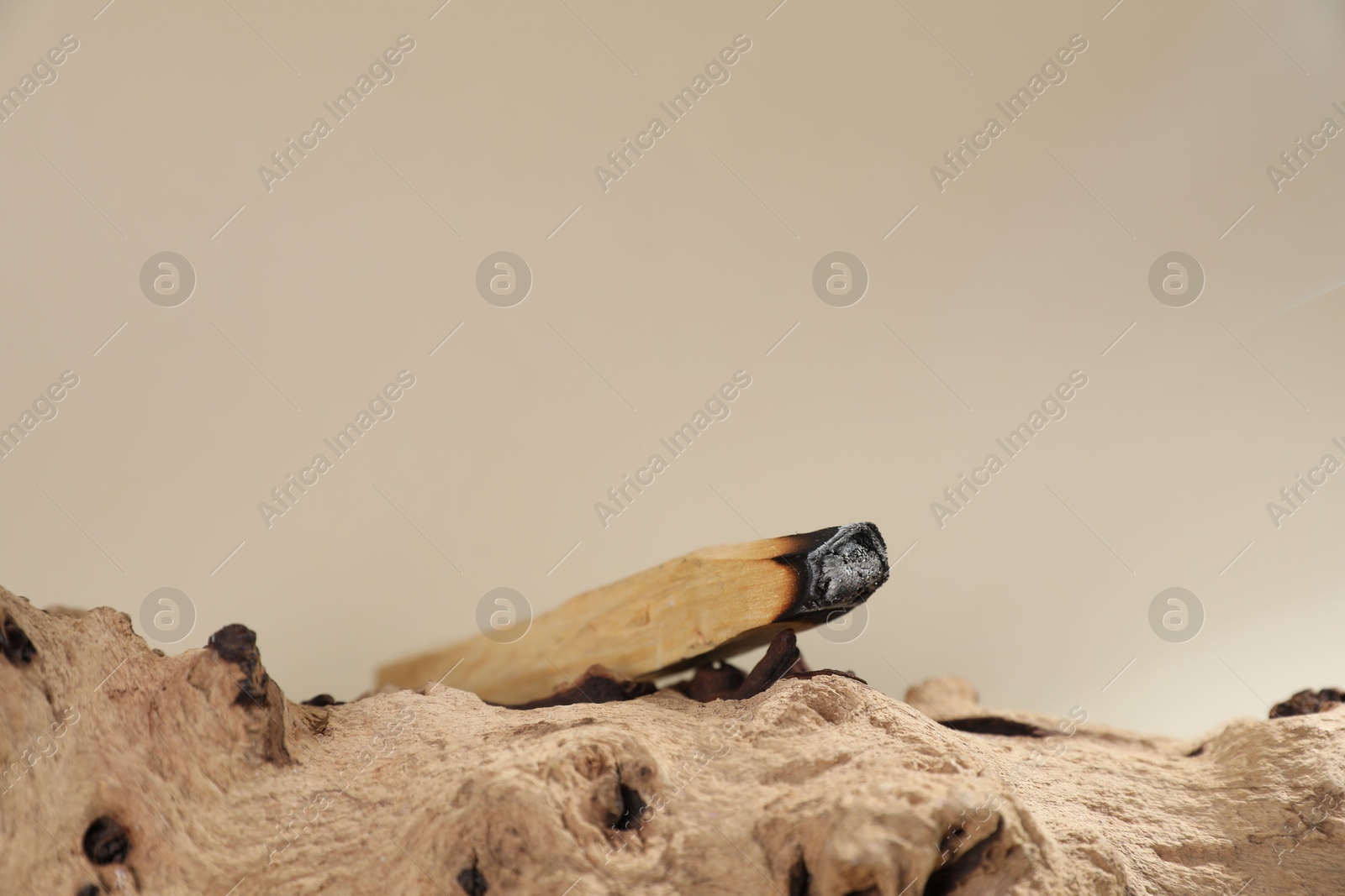 Photo of Smoldering palo santo stick and snag on beige background, closeup. Space for text