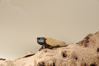 Photo of Smoldering palo santo stick and snag on beige background, closeup. Space for text