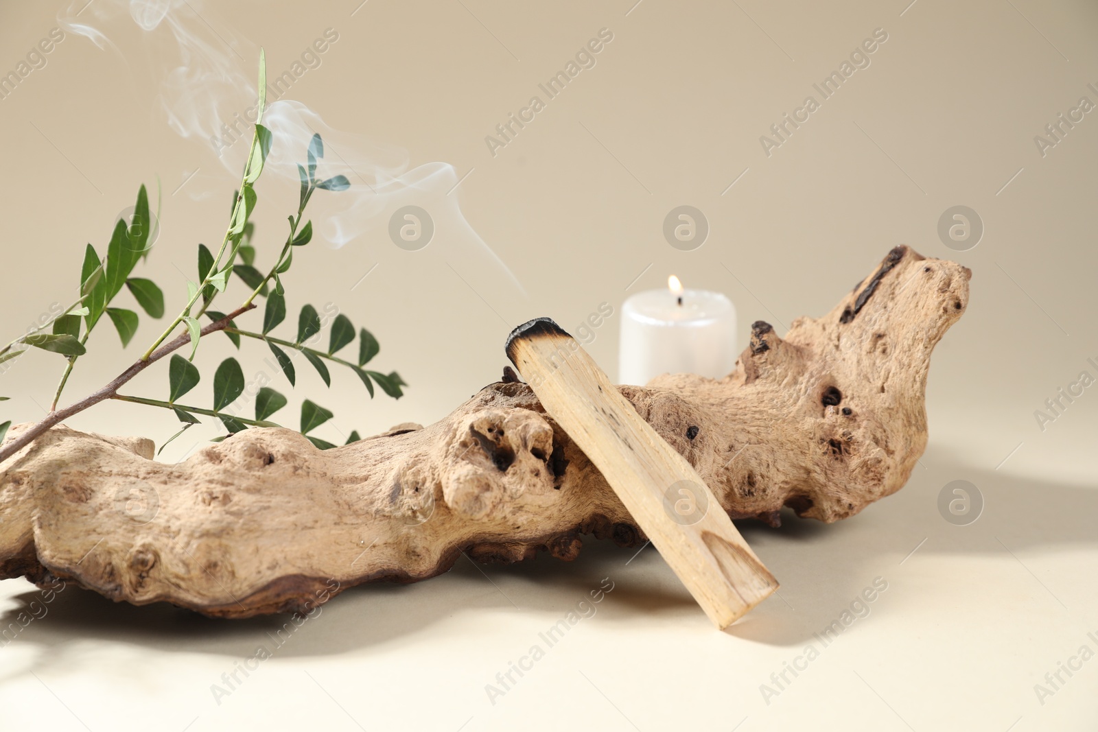 Photo of Smoldering palo santo stick, snag, green branch and burning candle on beige background