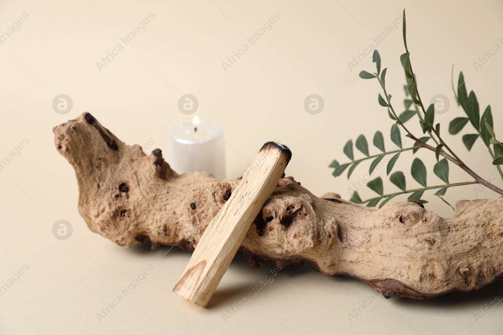 Photo of Smoldering palo santo stick, snag, green branch and burning candle on beige background, closeup