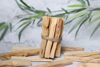 Photo of Palo santo sticks and green branch on white marble table