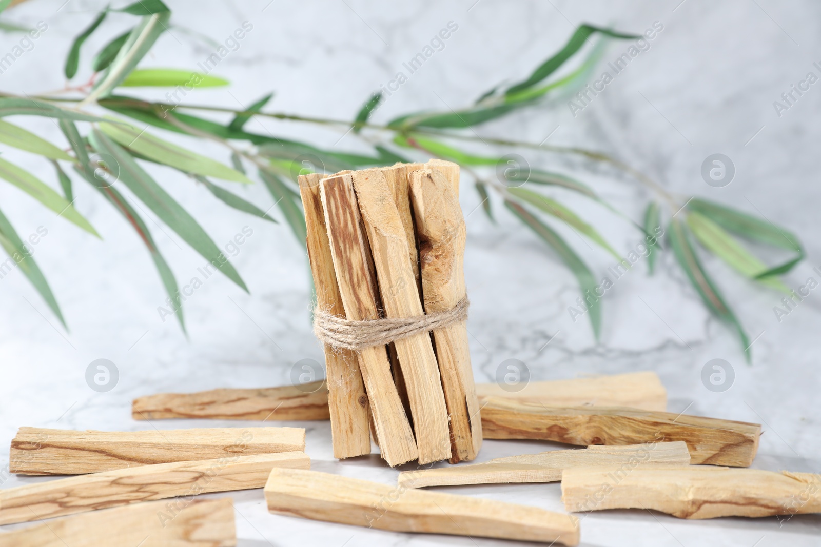 Photo of Palo santo sticks and green branch on white marble table