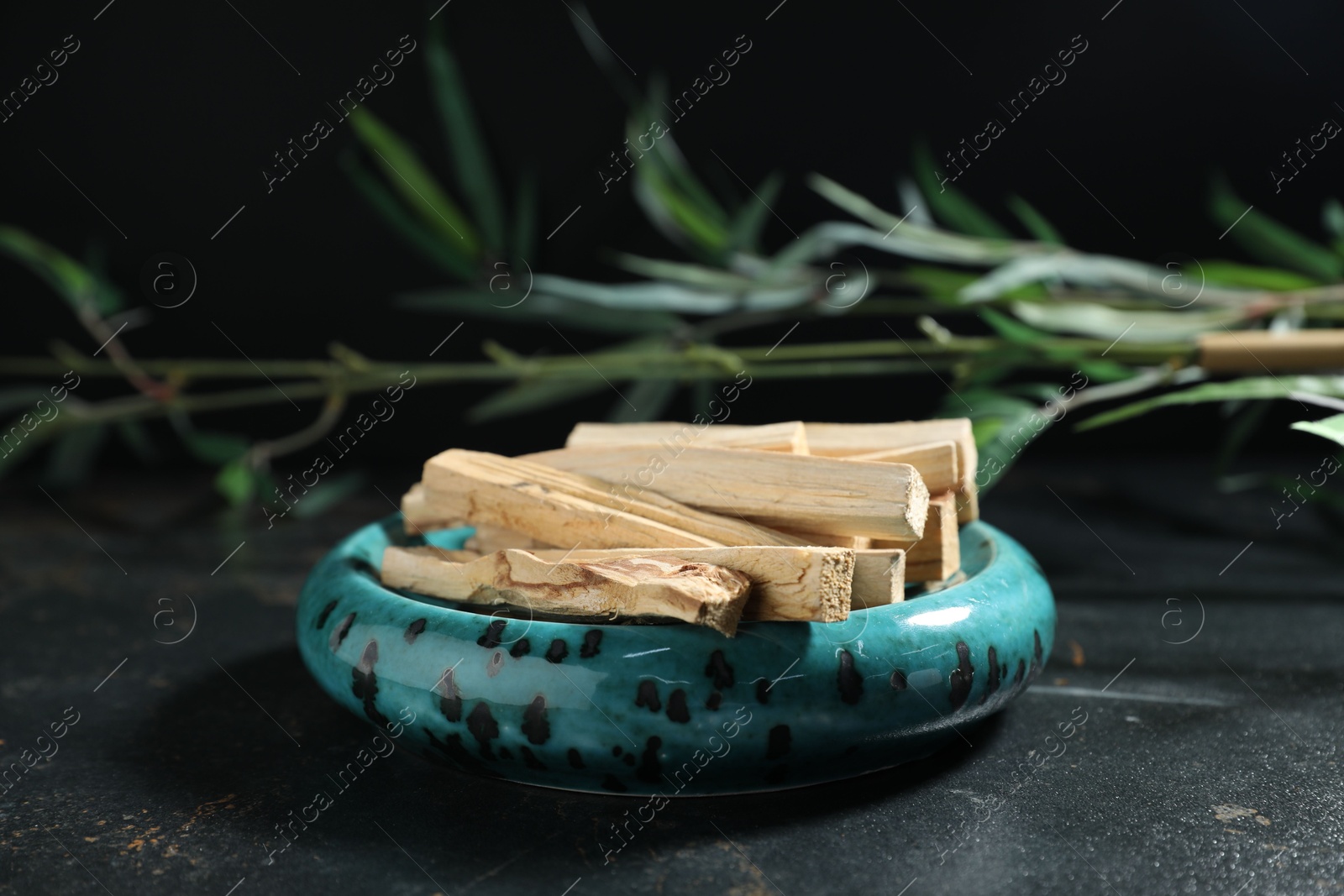 Photo of Palo santo sticks and green branch on dark table, closeup