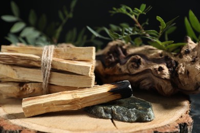 Photo of Palo santo sticks, burnt one, gemstone, snag and green branch on table, closeup