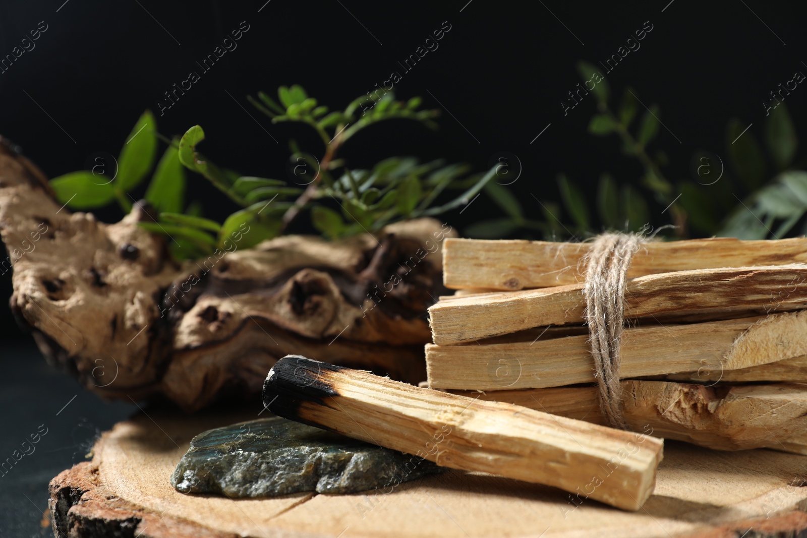 Photo of Palo santo sticks, burnt one, gemstone, snag and green branch on table, closeup