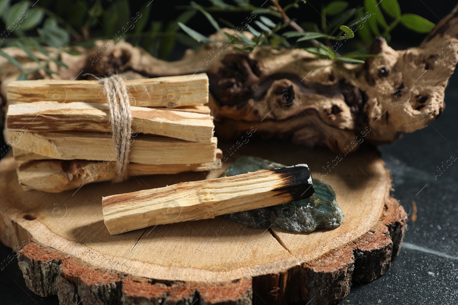 Photo of Smoldering palo santo stick, gemstone, snag and green branch on dark table, closeup