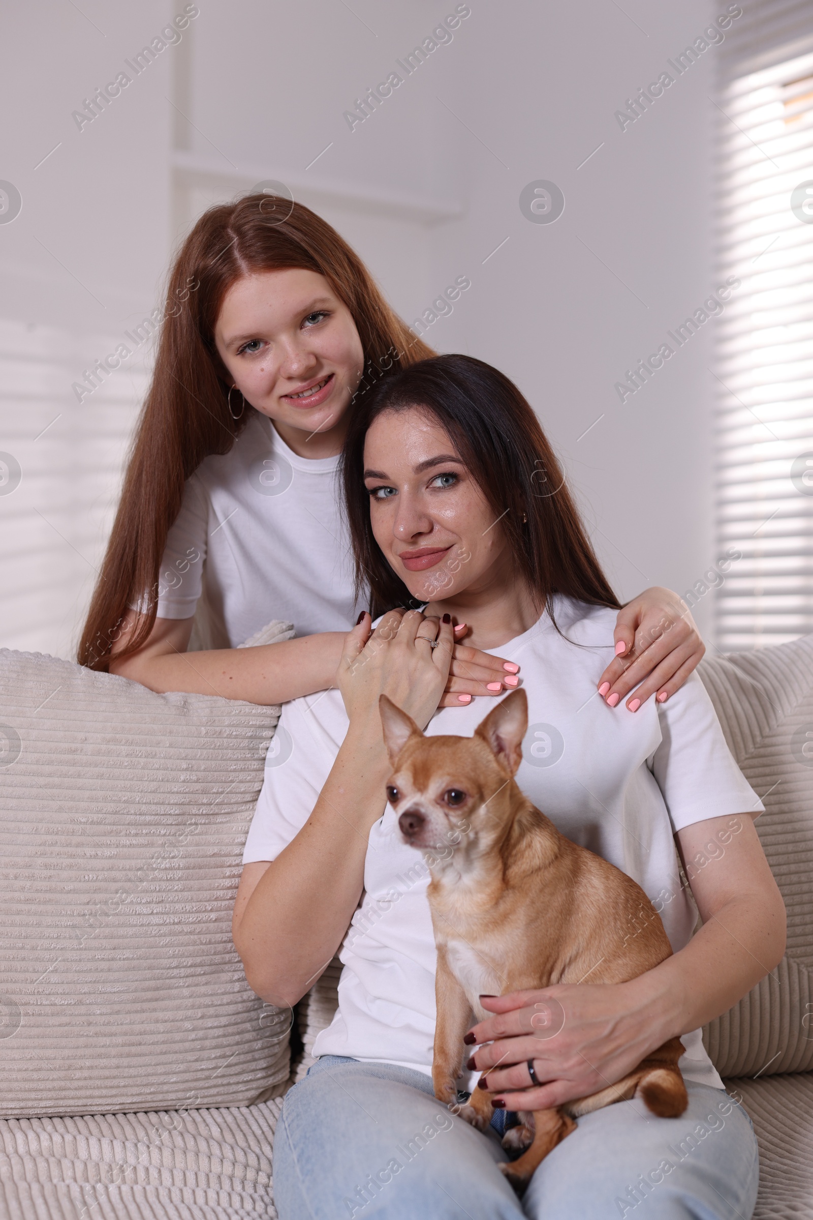 Photo of Portrait of beautiful mother with teenage daughter and cute Chihuahua dog at home