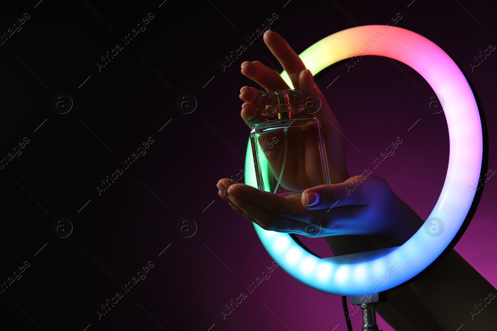 Photo of Woman holding perfume through ring lamp on dark purple background in neon lights, closeup. Space for text