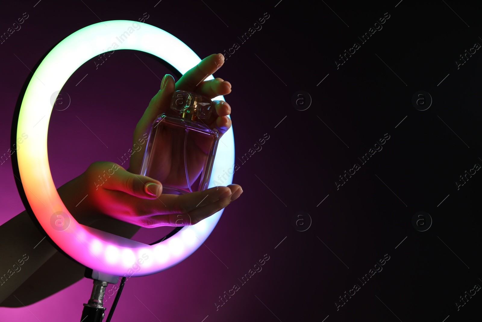 Photo of Woman holding perfume through ring lamp on dark purple background in neon lights, closeup. Space for text