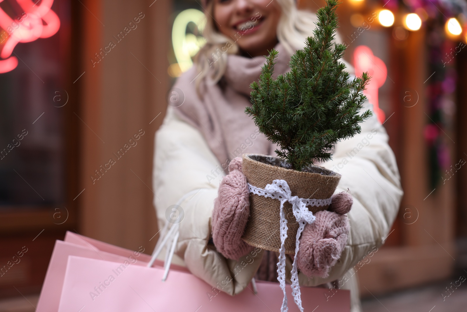 Photo of Woman with shopping bags and thuja tree near shop outdoors, closeup. Christmas season