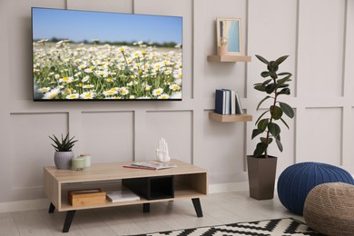 Image of TV set with nature landscape on screen in room