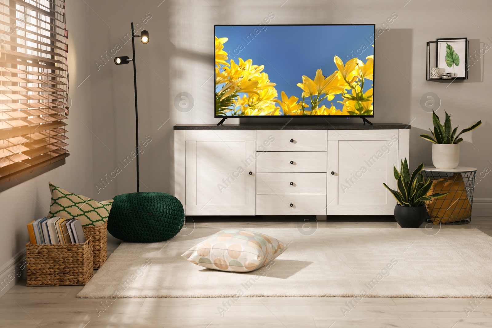 Image of TV set with nature landscape on screen in room