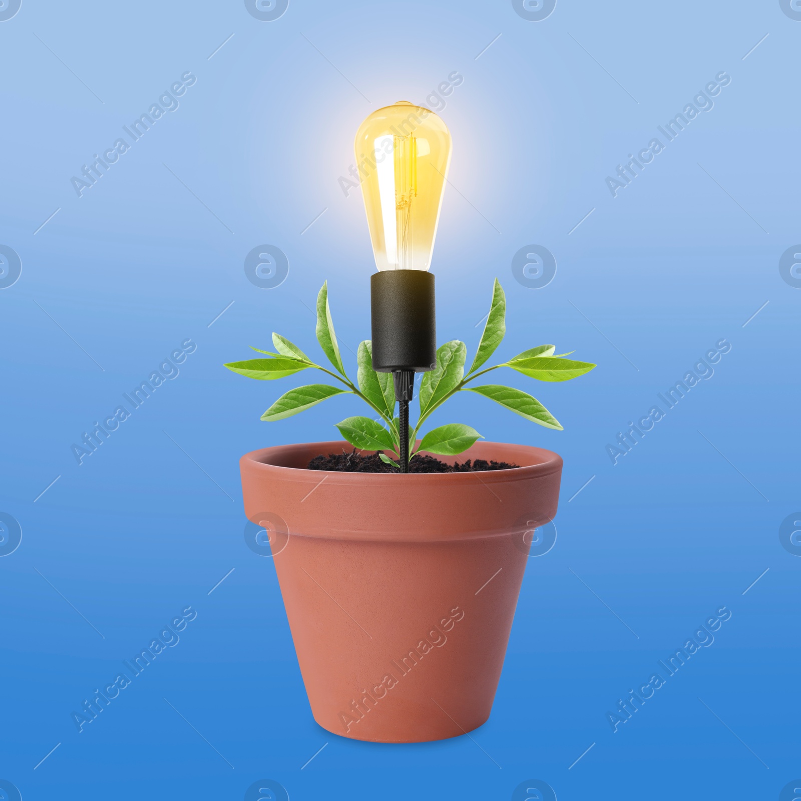 Image of Glowing light bulb and plant with leaves growing in flowerpot on blue gradient background. Eco-friendly environment, green energy or business development