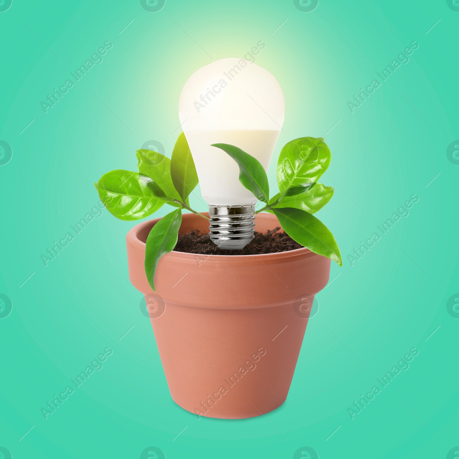 Image of Glowing light bulb and plant with leaves growing in flowerpot on turquoise background. Eco-friendly environment, green energy or business development