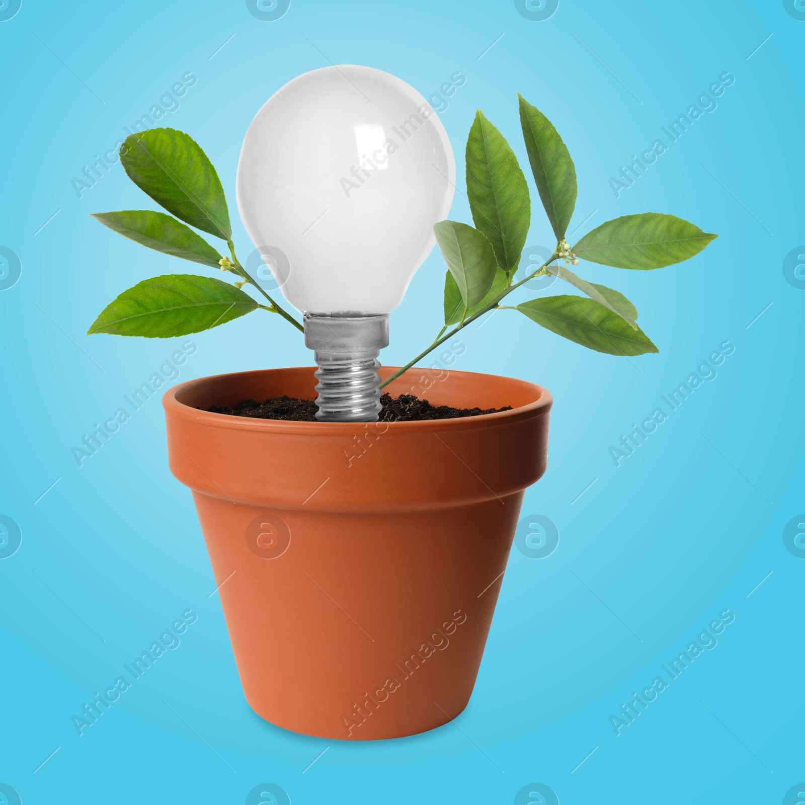 Image of Light bulb and plant with leaves growing in flowerpot on light blue background. Eco-friendly environment, green energy or business development