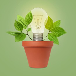 Image of Glowing light bulb and plant with leaves growing in flowerpot on light green background. Eco-friendly environment, green energy or business development