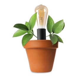 Image of Light bulb and plant with leaves growing in flowerpot on white background. Eco-friendly environment, green energy or business development