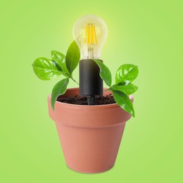 Image of Glowing light bulb and plant with leaves growing in flowerpot on light green background. Eco-friendly environment, green energy or business development