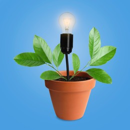 Image of Glowing light bulb and plant with leaves growing in flowerpot on light blue background. Eco-friendly environment, green energy or business development