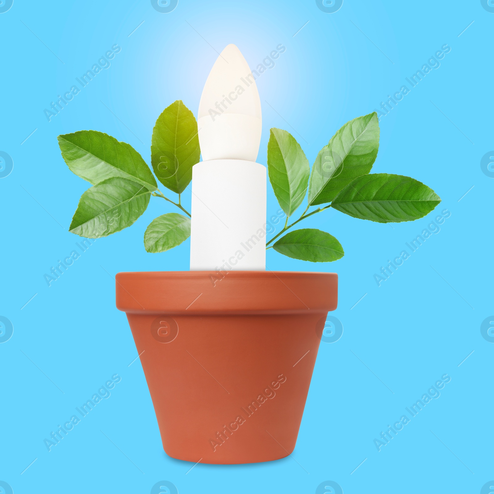 Image of Glowing light bulb and plant with leaves growing in flowerpot on light blue background. Eco-friendly environment, green energy or business development