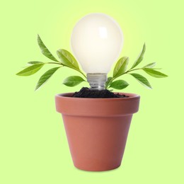 Image of Glowing light bulb and plant with leaves growing in flowerpot on light green background. Eco-friendly environment, green energy or business development