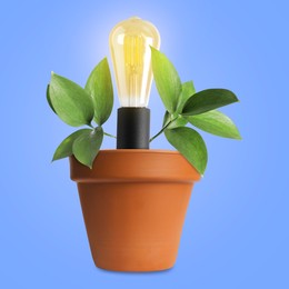 Image of Glowing light bulb and plant with leaves growing in flowerpot on light blue background. Eco-friendly environment, green energy or business development