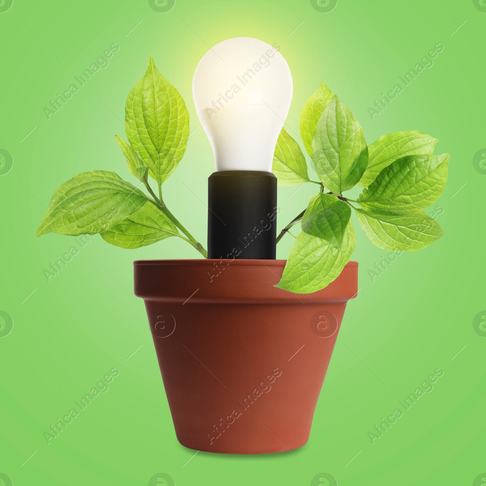 Image of Glowing light bulb and plant with leaves growing in flowerpot on green background. Eco-friendly environment, green energy or business development