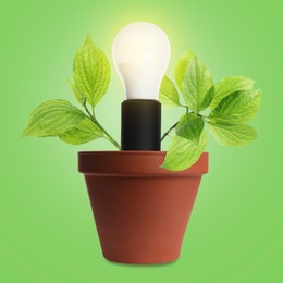 Image of Glowing light bulb and plant with leaves growing in flowerpot on green background. Eco-friendly environment, green energy or business development