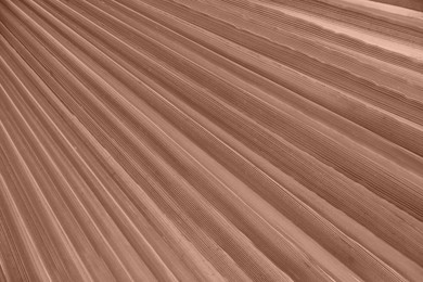 Mocha mousse textured background, closeup. Color of 2025 year