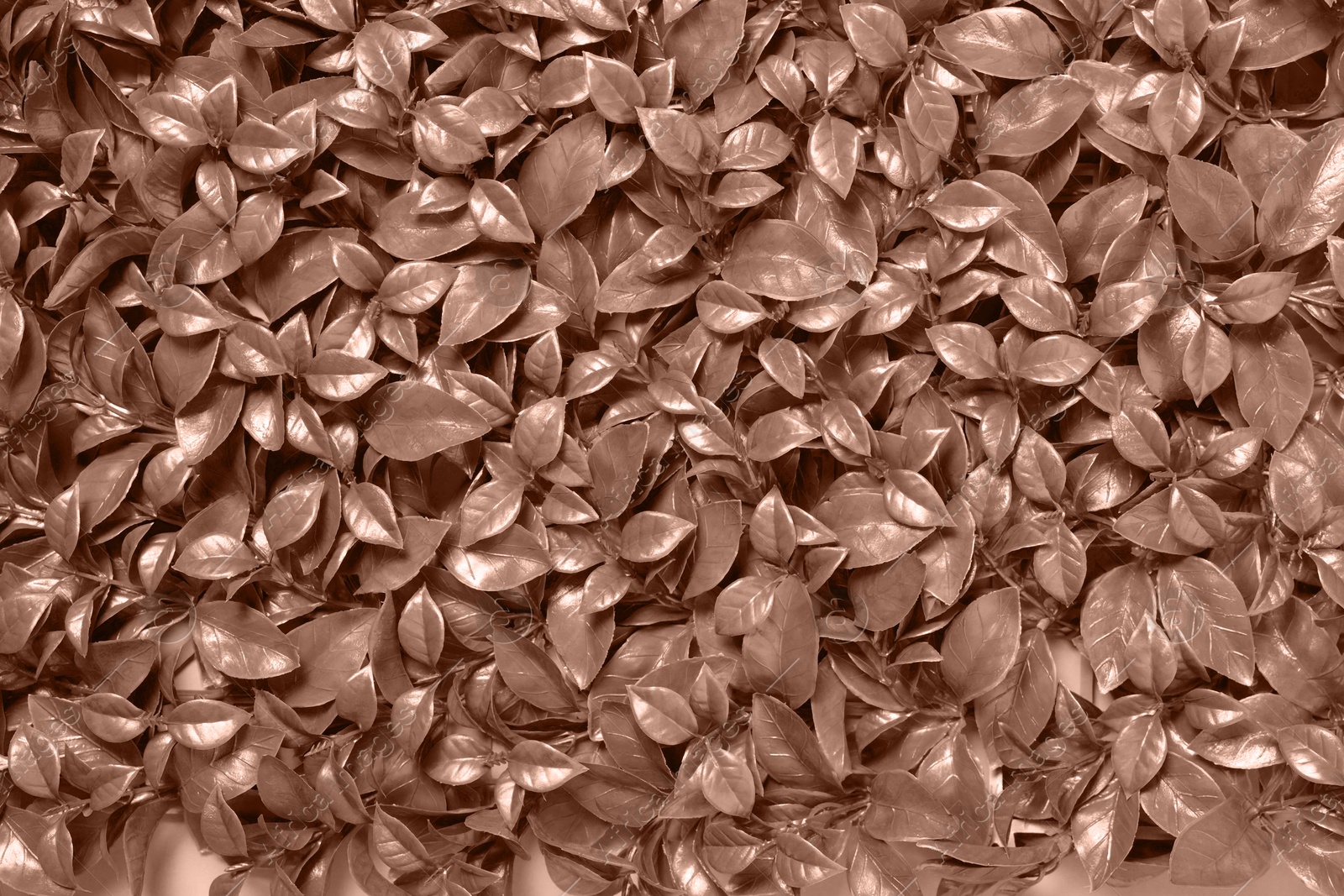 Image of Beautiful leaves, toned in mocha mousse shade. Color of 2025 year