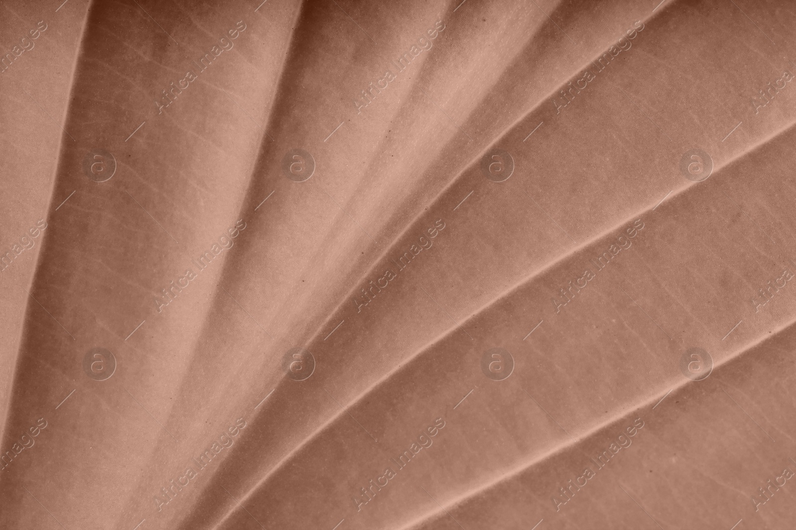 Image of Mocha mousse textured background, closeup. Color of 2025 year