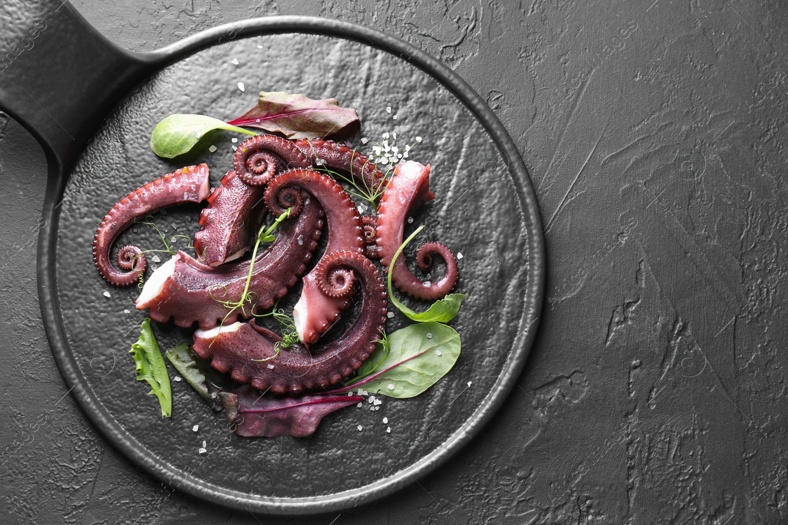 Photo of Tasty boiled octopus tentacles, microgreens and salt on grey textured table, top view