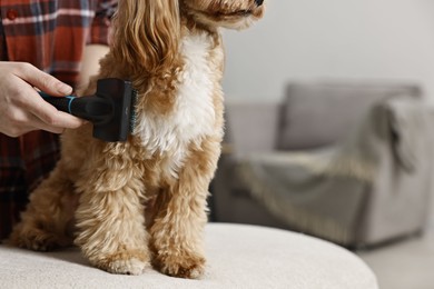 Photo of Woman brushing dog's hair at pouf indoors, closeup with space for text. Pet grooming