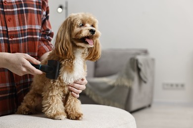 Photo of Woman brushing dog's hair at pouf indoors, closeup with space for text. Pet grooming