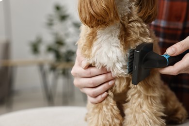 Photo of Woman brushing dog's hair at pouf indoors, closeup with space for text. Pet grooming