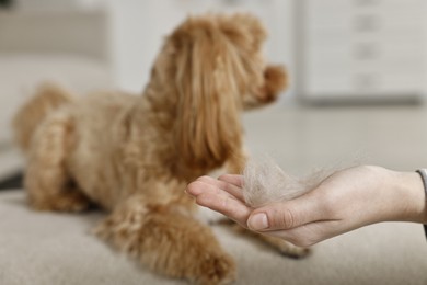 Photo of Woman with pet's hair and cute dog indoors, selective focus