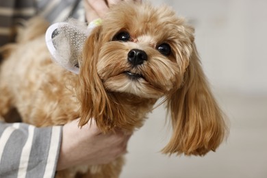 Photo of Woman brushing dog's hair against blurred background, closeup. Pet grooming