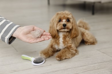 Photo of Woman with pet's hair, cute dog and brush indoors, selective focus