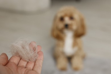 Photo of Woman with pet's hair and dog indoors, selective focus. Space for text