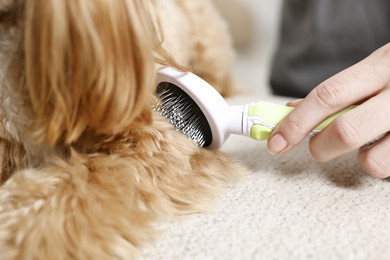 Photo of Woman brushing dog's hair indoors, closeup. Pet grooming