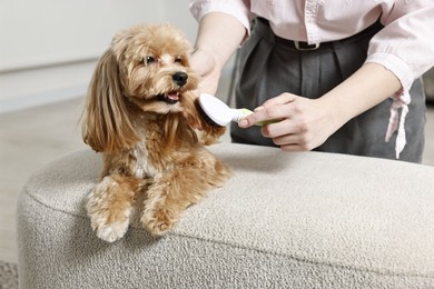 Photo of Woman brushing dog's hair at pouf indoors, closeup. Pet grooming