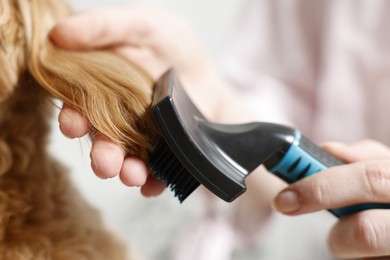 Photo of Woman brushing dog's hair against blurred background, closeup. Pet grooming