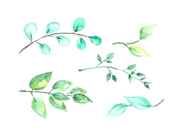 Photo of Watercolor painting of different branches with green leaves isolated on white, top view