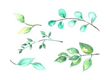 Photo of Watercolor painting of different branches with green leaves isolated on white, top view