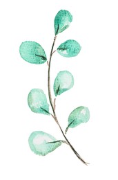 Photo of Watercolor painting of branch with green leaves isolated on white, top view