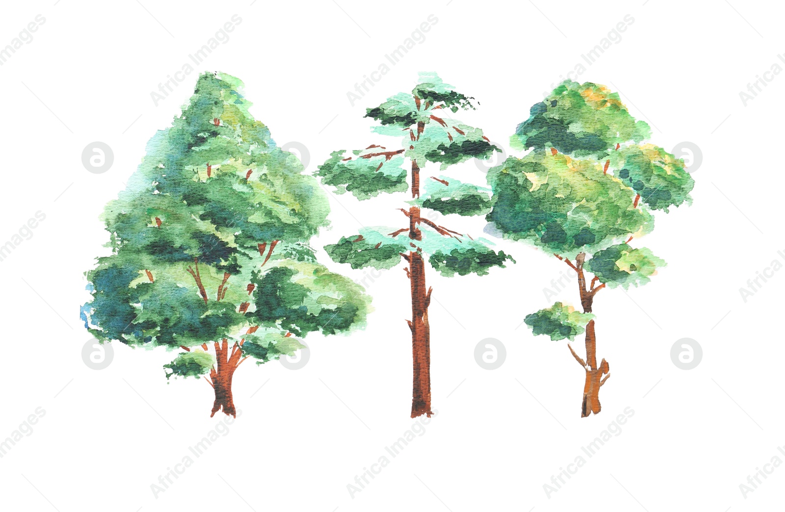 Photo of Watercolor painting of different green trees isolated on white, top view