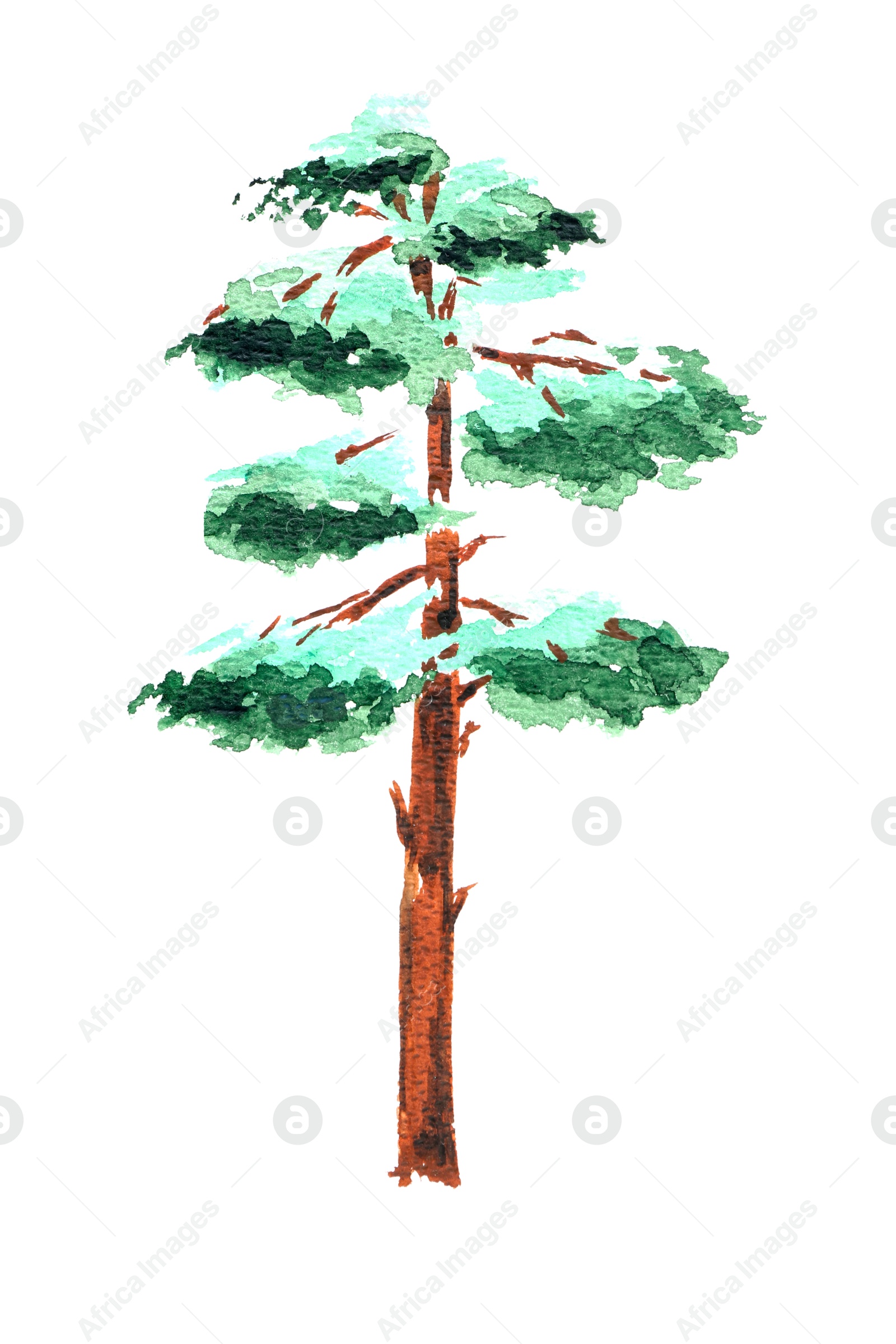 Photo of Watercolor painting of green tree isolated on white, top view